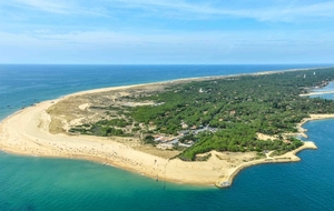 COURT SEJOUR 2026 A LEGE CAP FERRET